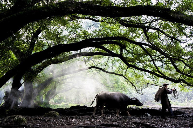 福建：对乡村旅游重点项目给予每个20万元奖励