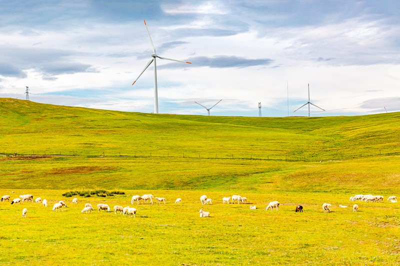 1-8月内蒙古接待国内游客1.55亿人次