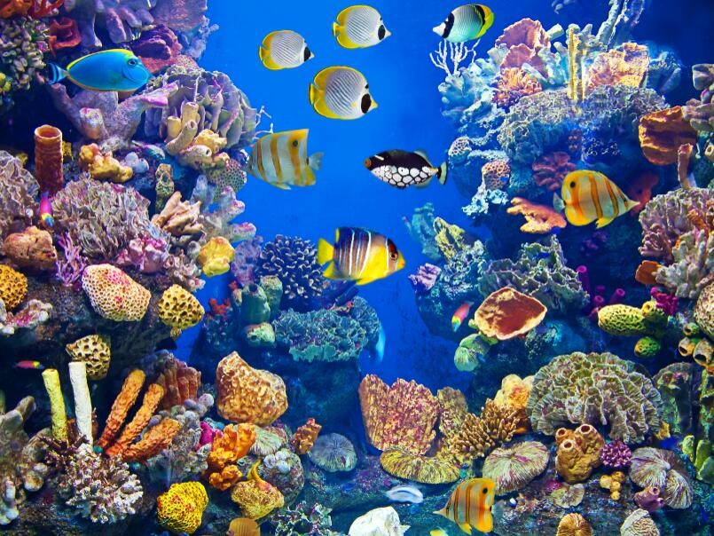 海昌海洋公园携手印尼地产商PT打造雅加达定制主题娱乐项目