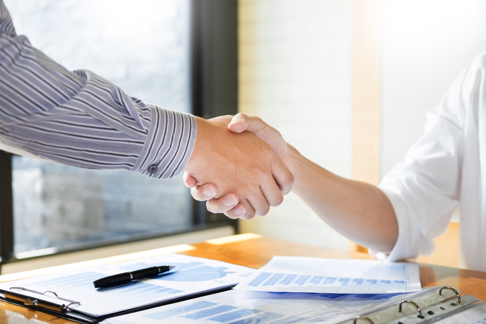 广州高新集团与广州文化集团合作打造“大湾鸡”奥体嘉年华项目