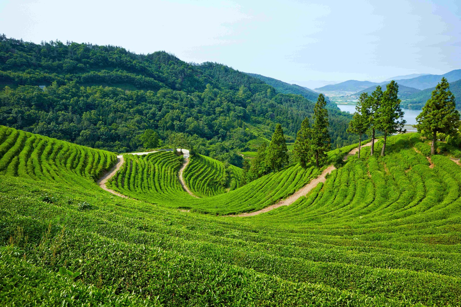 宁夏新增5家国家4A级旅游景区和2家自治区级旅游休闲街区