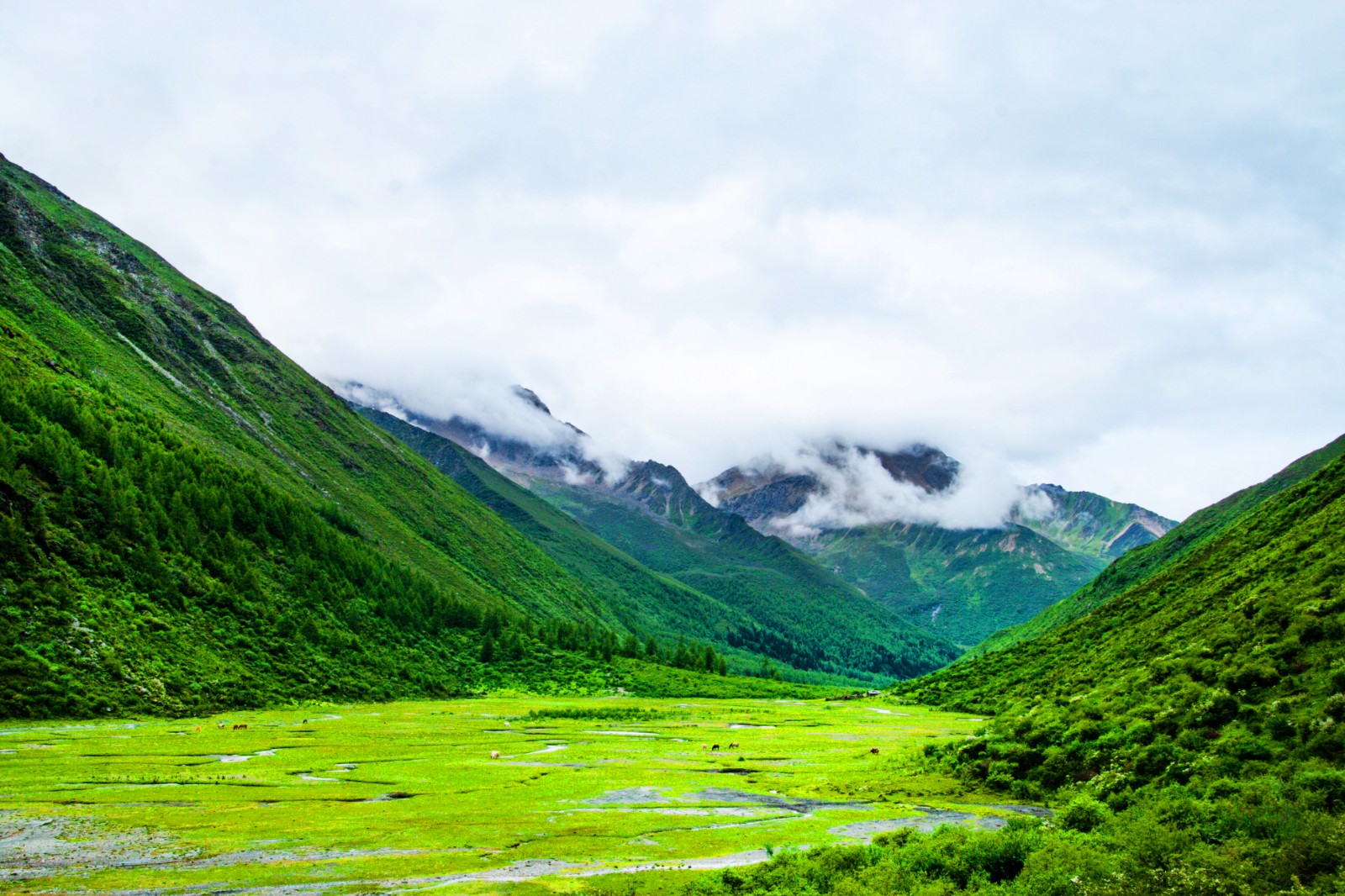 新疆开行今年首趟“新东方快车”旅游专列