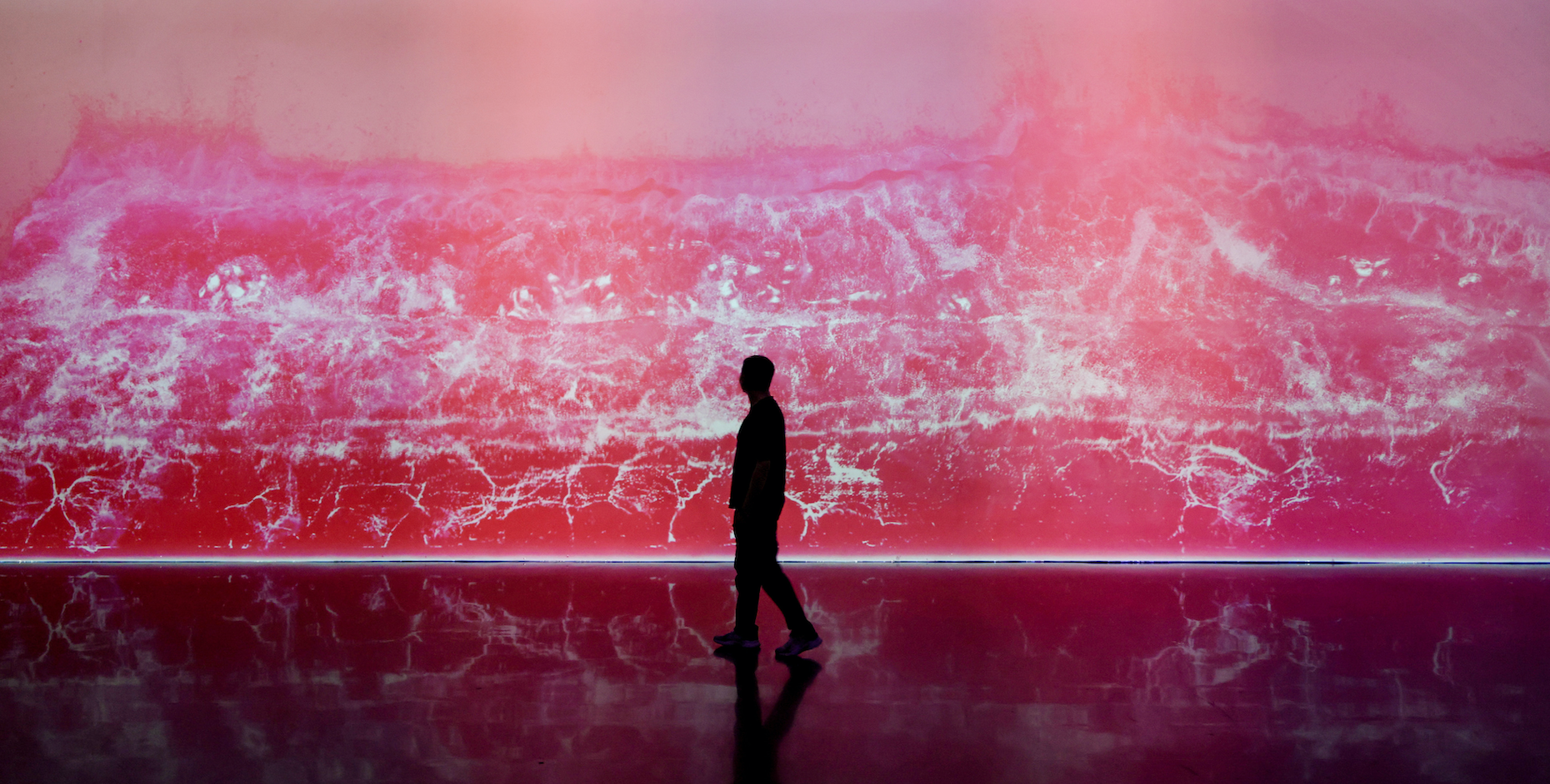 光影之下：数字艺术展馆生存考