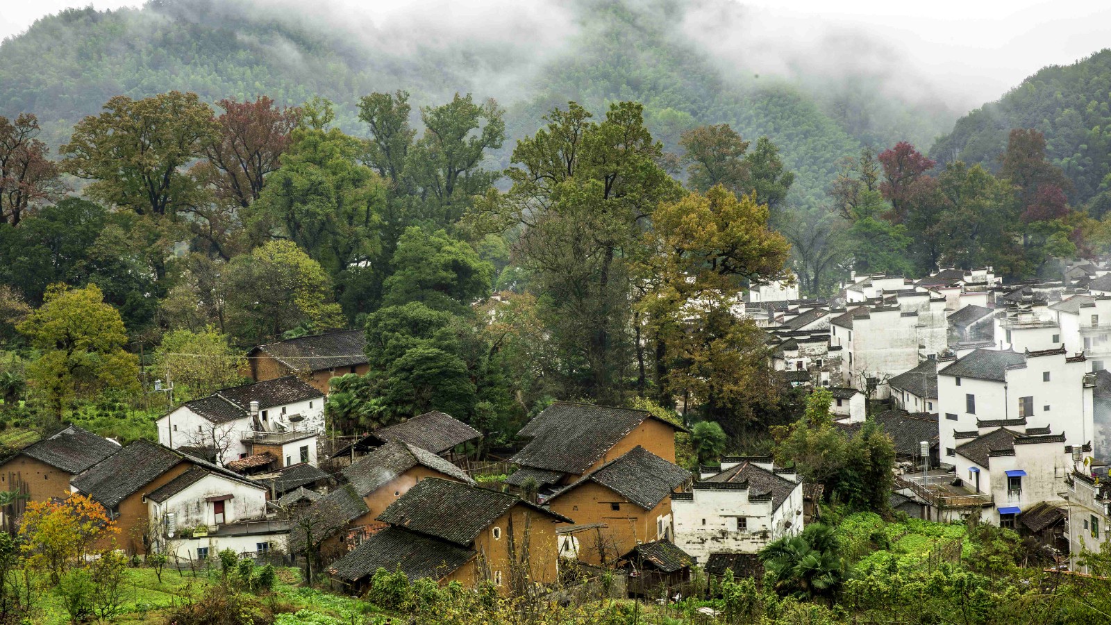 安徽省文旅厅取消6家4A级景区等级 巨石山景区降为3A级