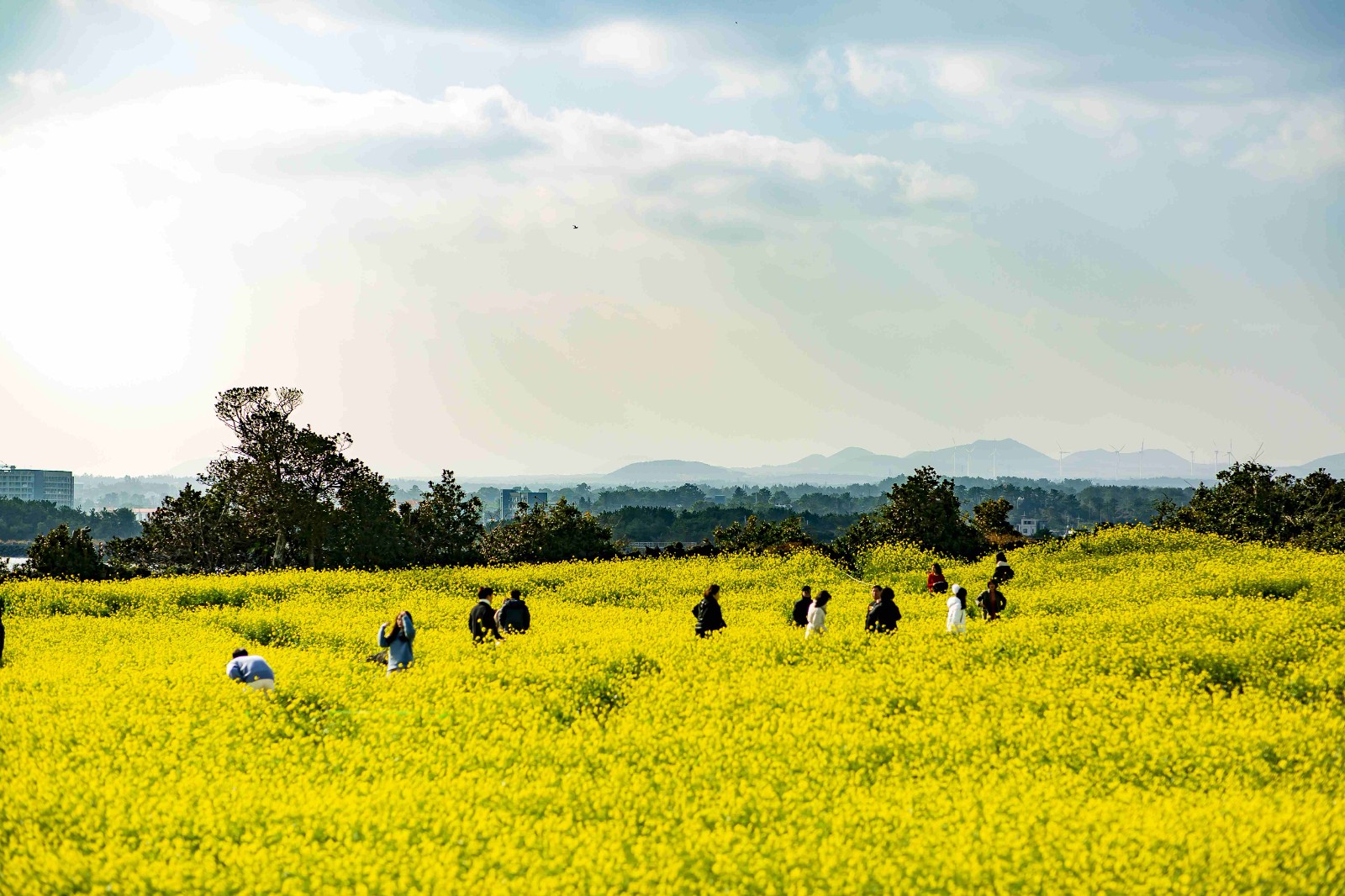 同程旅行发布《2026 国庆假期旅游消费盘点》
